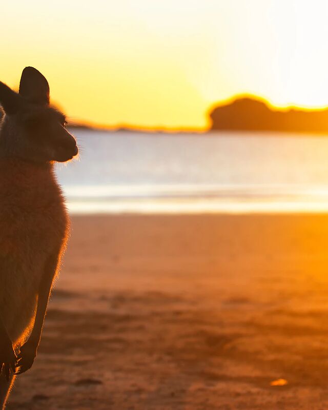 australienreisen