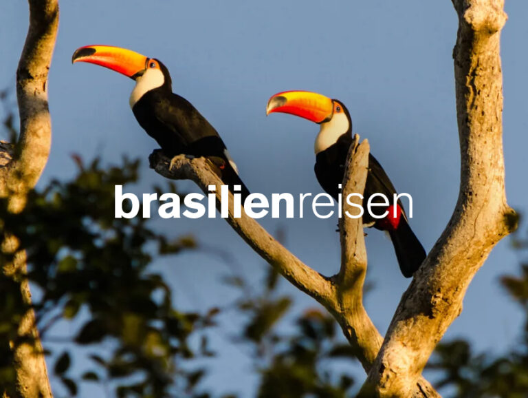 brasilienreisen